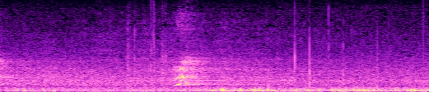 spectrogram