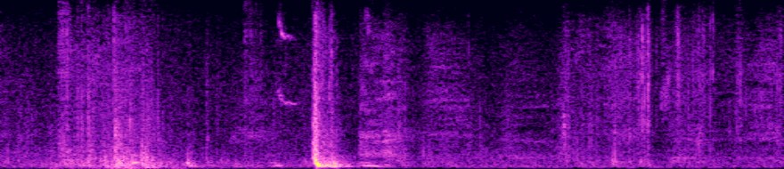 spectrogram