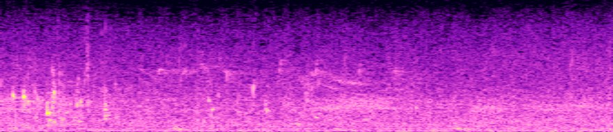 spectrogram