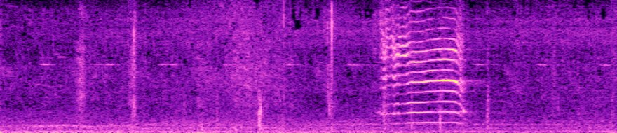 spectrogram