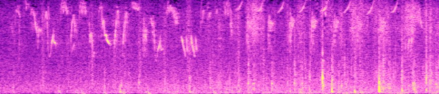 spectrogram